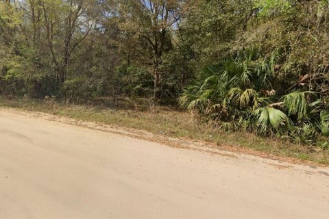 Terrain à vendre à Interlachen, Floride № 2223885 - photo 4