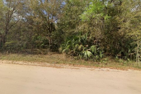 Terrain à vendre à Interlachen, Floride № 2223885 - photo 3