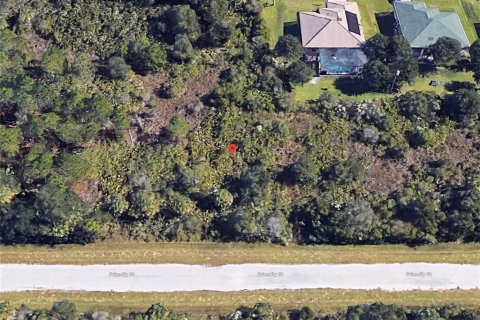 Land in Port Charlotte, Florida № 2159669