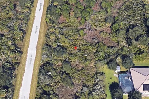 Land in Port Charlotte, Florida № 2159669 - photo 6