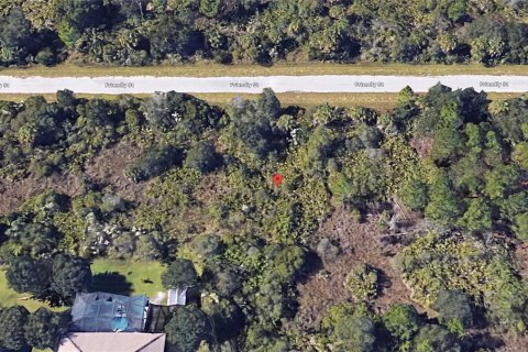 Land in Port Charlotte, Florida № 2159669 - photo 5