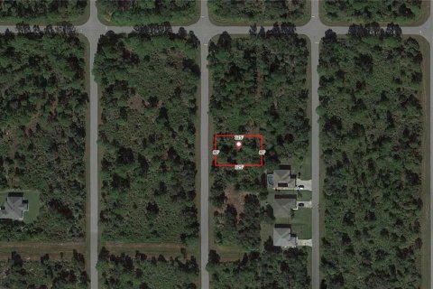 Land in Port Charlotte, Florida № 2159669 - photo 2