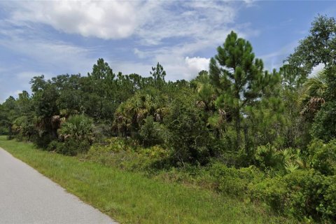 Land in Port Charlotte, Florida № 2159669 - photo 3