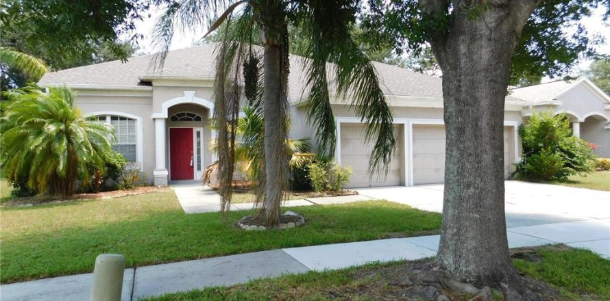 House in Riverview, Florida 4 bedrooms, 292.36 sq.m. № 1916331