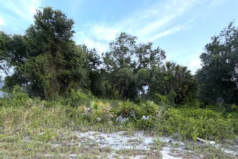 Land in North Port, Florida № 2161571
