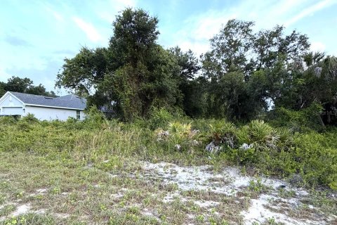 Land in North Port, Florida № 2161571 - photo 2
