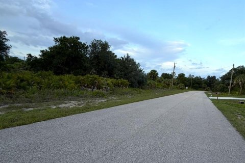 Land in North Port, Florida № 2161571 - photo 5