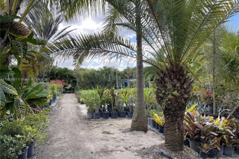Land in Southwest Ranches, Florida № 1847702 - photo 21