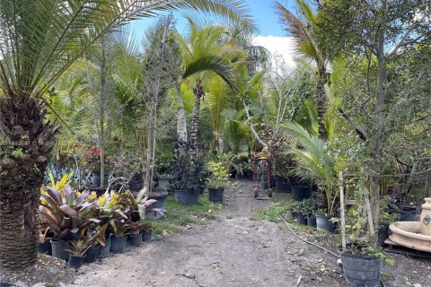 Land in Southwest Ranches, Florida № 1847702 - photo 20