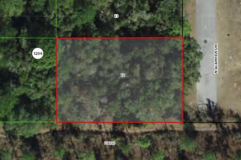 Terreno en Dunnellon, Florida № 2164774