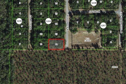 Terreno en venta en Dunnellon, Florida № 2164774 - foto 2