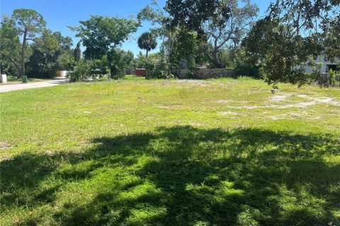 Land in Sarasota, Florida № 2094387