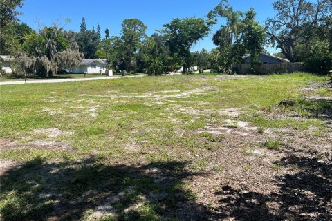 Land in Sarasota, Florida № 2094387 - photo 2