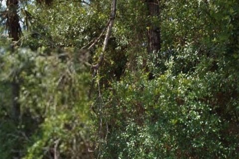 Land in North Port, Florida № 2166485