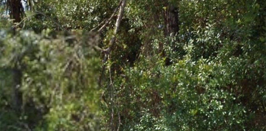 Land in North Port, Florida № 2166485