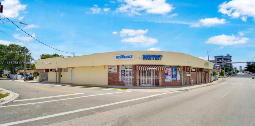 Commercial property in Miami, Florida № 2088560