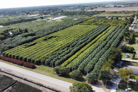 Immobilier commercial à vendre à Miami, Floride № 2011161 - photo 12