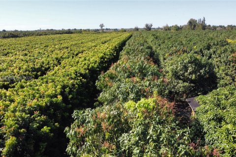 Immobilier commercial à vendre à Miami, Floride № 2011161 - photo 26