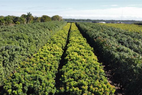 Immobilier commercial à vendre à Miami, Floride № 2011161 - photo 24