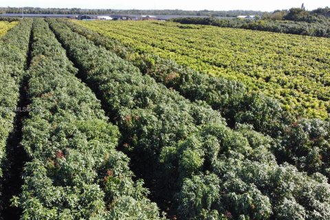 Immobilier commercial à vendre à Miami, Floride № 2011161 - photo 4