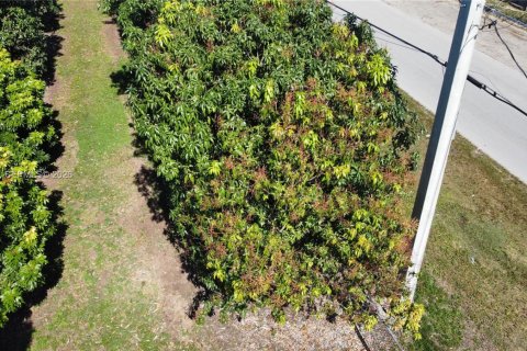 Immobilier commercial à vendre à Miami, Floride № 2011161 - photo 28