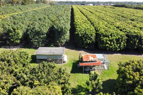 Immobilier commercial à vendre à Miami, Floride № 2011161 - photo 6