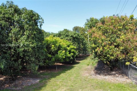 Immobilier commercial à vendre à Miami, Floride № 2011161 - photo 3