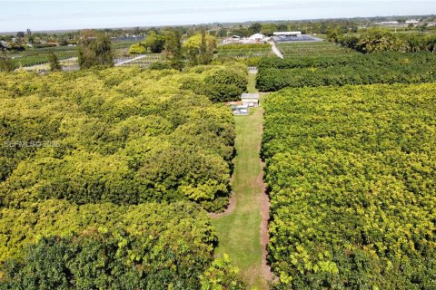 Immobilier commercial à vendre à Miami, Floride № 2011161 - photo 23