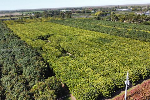 Immobilier commercial à vendre à Miami, Floride № 2011161 - photo 16