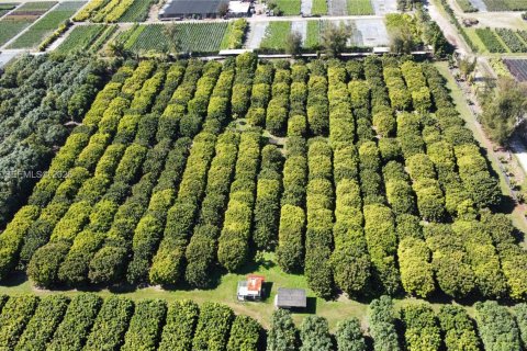 Immobilier commercial à vendre à Miami, Floride № 2011161 - photo 10