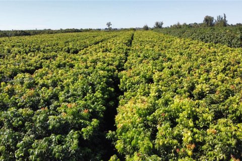 Immobilier commercial à vendre à Miami, Floride № 2011161 - photo 25