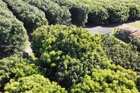 Immobilier commercial à vendre à Miami, Floride № 2011161 - photo 5