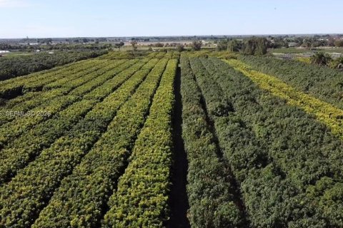 Immobilier commercial à vendre à Miami, Floride № 2011161 - photo 11