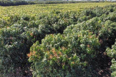 Immobilier commercial à vendre à Miami, Floride № 2011161 - photo 2