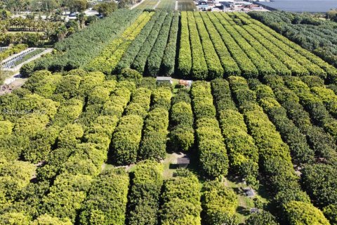 Immobilier commercial à vendre à Miami, Floride № 2011161 - photo 7