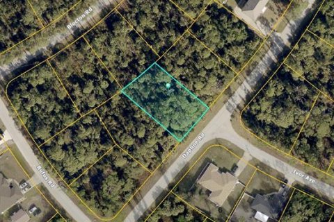 Land in North Port, Florida № 2160857