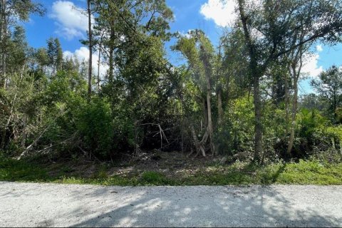 Land in Punta Gorda, Florida № 2214650 - photo 17