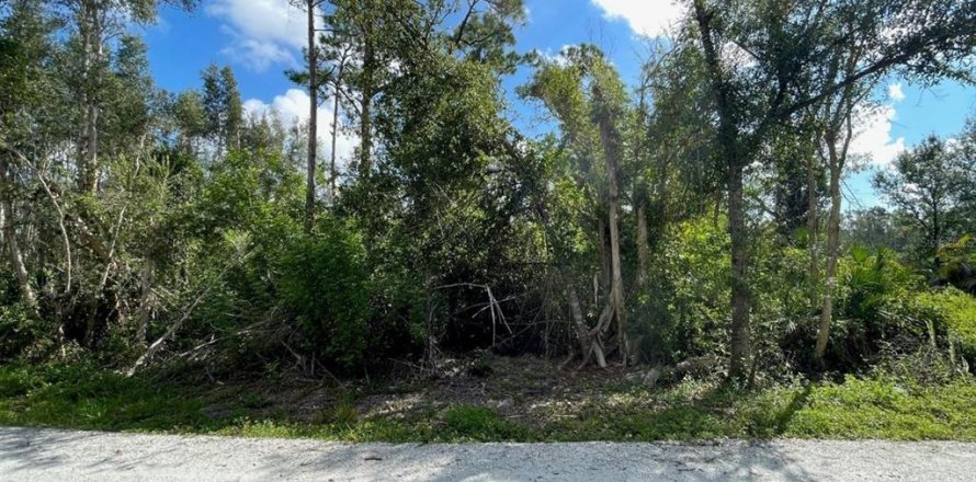 Land in Punta Gorda, Florida № 2214650