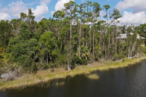 Land in Punta Gorda, Florida № 2214650 - photo 6