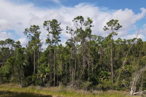 Land in Punta Gorda, Florida № 2214650 - photo 5