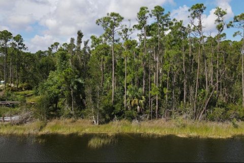 Land in Punta Gorda, Florida № 2214650 - photo 7