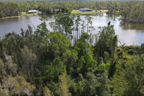 Land in Punta Gorda, Florida № 2214650 - photo 12
