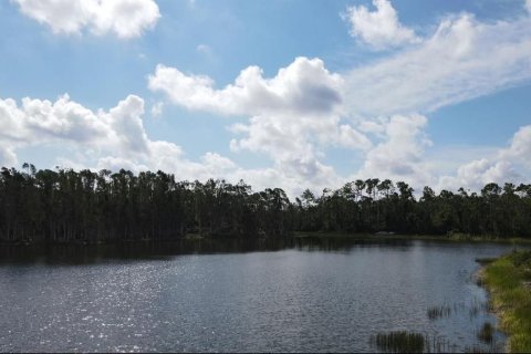 Land in Punta Gorda, Florida № 2214650 - photo 10