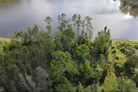 Land in Punta Gorda, Florida № 2214650 - photo 13