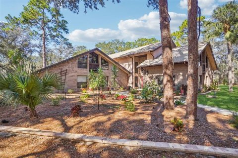 Casa en Tavares, Florida 5 dormitorios, 473.43 m2 № 2110656