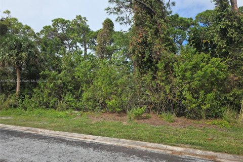 Land in Sebastian, Florida № 1764279 - photo 4