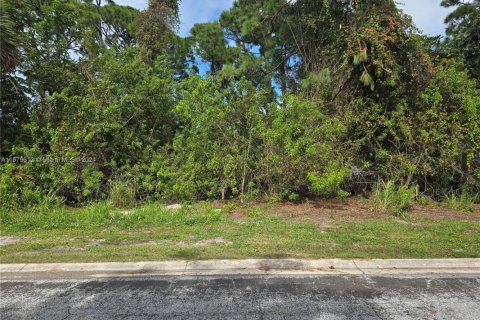 Land in Sebastian, Florida № 1764279 - photo 2