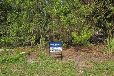 Land in Sebastian, Florida № 1764279 - photo 1