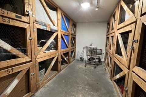 Copropriété à louer à Hollywood, Floride: 1 chambre, 55.46 m2 № 1966802 - photo 26