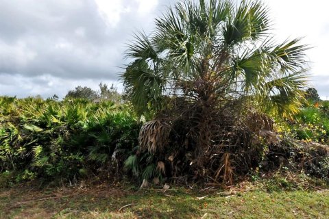 Land in North Port, Florida № 2161502 - photo 3
